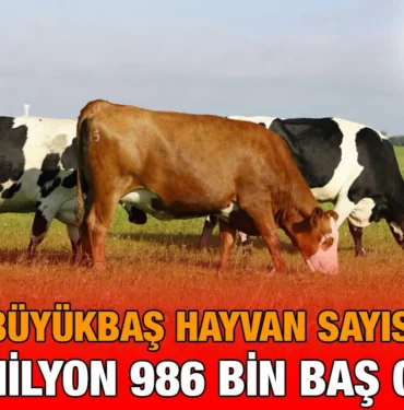 bbas_kriter_haber