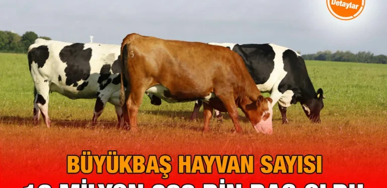 bbas_kriter_haber