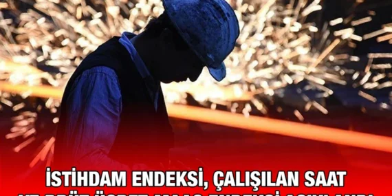 İşgücü Girdi Endeksleri, IV. Çeyrek: Ekim-Aralık, 2024