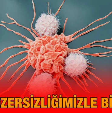 kanser_kriter_haber