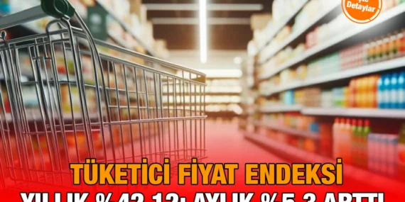 Tüketici Fiyat Endeksi, Ocak 2025