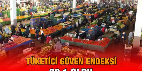 Tüketici Güven Endeksi, Şubat 2025