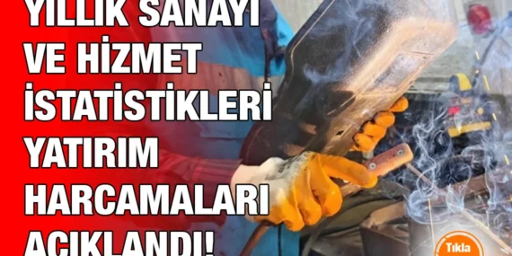 Yıllık Sanayi ve Hizmet İstatistikleri Yatırım Harcamaları, 2023