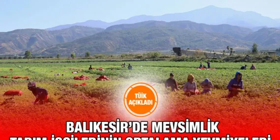Tarımsal İşletme İşgücü Ücret Yapısı, 2024