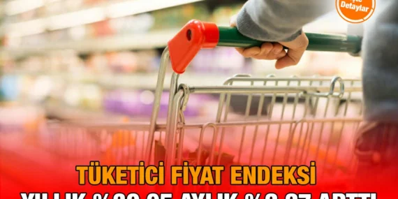 Tüketici Fiyat Endeksi, Şubat 2025