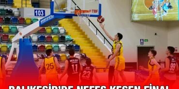 basket_krtier_haber