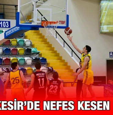 basket_krtier_haber
