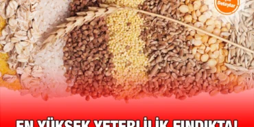findik_kriter_haber