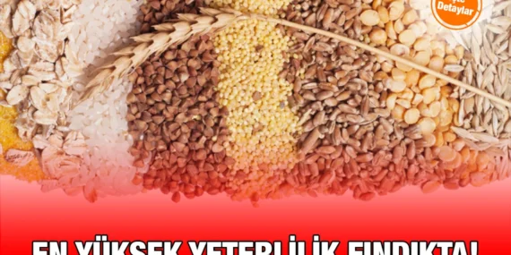 Bitkisel Ürün Denge Tabloları, 2024