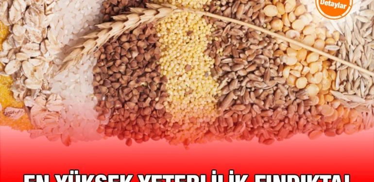 findik_kriter_haber