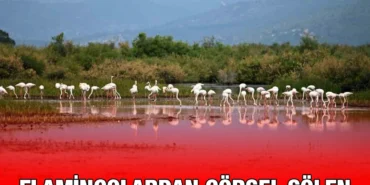 selcuk_kriter_haber
