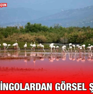 selcuk_kriter_haber
