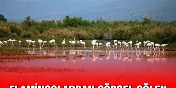 Selçuk’ta Görsel Şölen