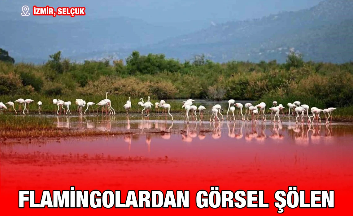 selcuk_kriter_haber