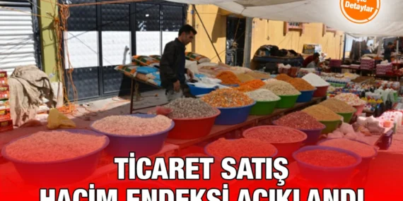 Ticaret Satış Hacim Endeksi, Şubat 2025
