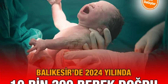 Doğum İstatistikleri, 2024