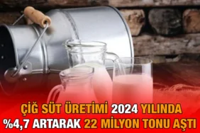 cig_sut_kriter_haber