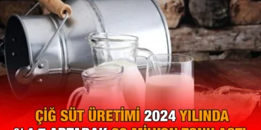 cig_sut_kriter_haber