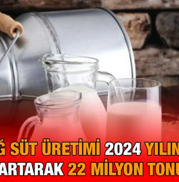 cig_sut_kriter_haber