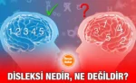 disleksi_kriter_haber