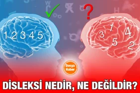 disleksi_kriter_haber