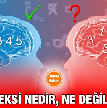 disleksi_kriter_haber