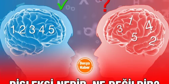 Beyin Kendini İyileştirebiliyor