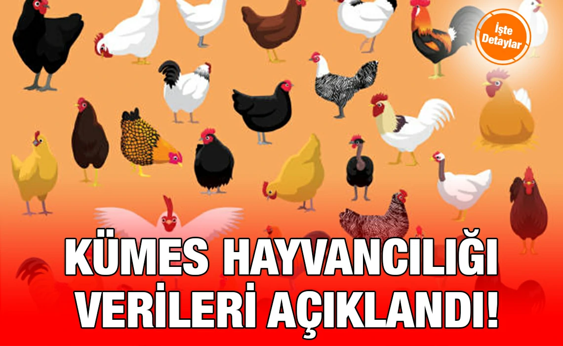 kümes_kriter_haber