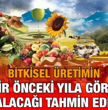 bitkisel_kriter_haber