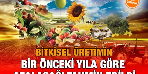 bitkisel_kriter_haber