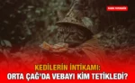 kedi_veba_kriter_haber