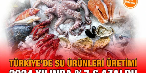 2024 Su Ürünleri Üretimi Verileri