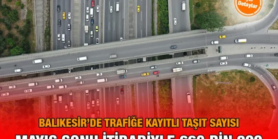 Motorlu Kara Taşıtları, Mayıs 2025