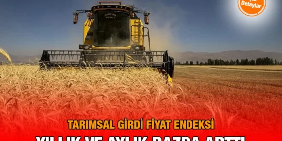 Tarımsal Girdi Fiyat Endeksi, Mayıs 2025