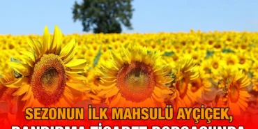 aycicek_borsa_kriter_haber
