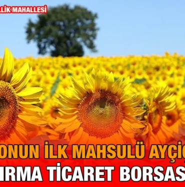 aycicek_borsa_kriter_haber
