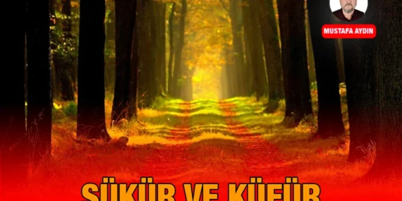 Şükür ve Küfür Kelime Anlamları