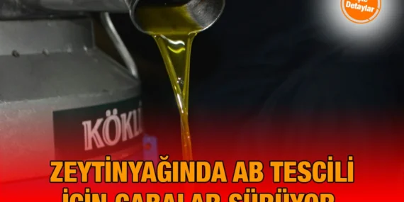 Hedef: Ayvalık’tan Avrupa’ya