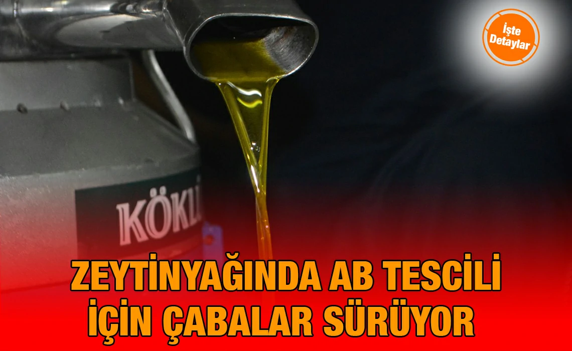 ab_tescil_kriter_haber