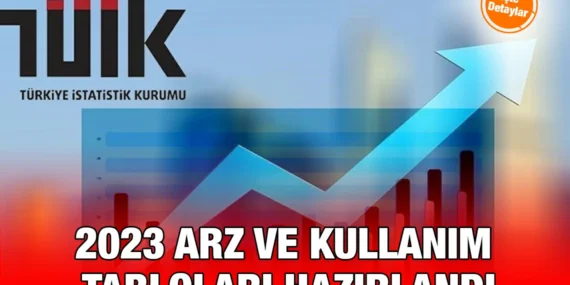 Arz ve Kullanım Tabloları, Girdi-Çıktı Tabloları