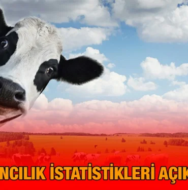 hayvancilik_sayilar_kriter_haber