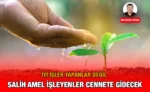salih_amel_kriter_haber