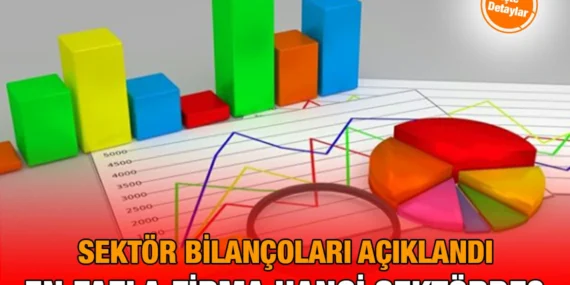 2024 Sektör Bilançoları
