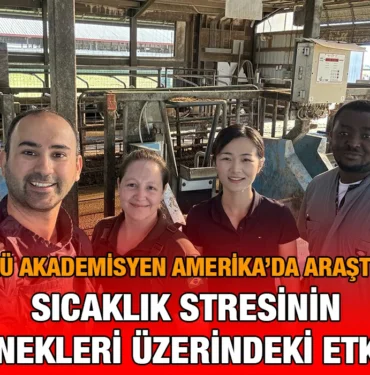 sicaklik_sut_kriter_haber