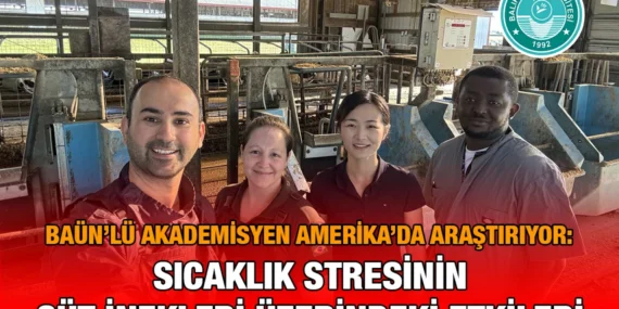 Sıcaklık Stresinin Süt İnekleri Üzerindeki Etkileri Araştırılıyor