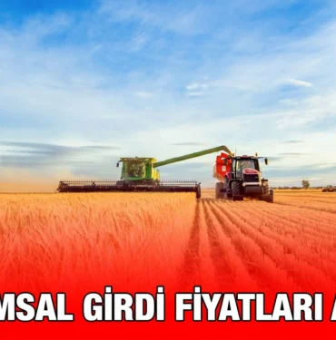 tgfe_kriter_haber