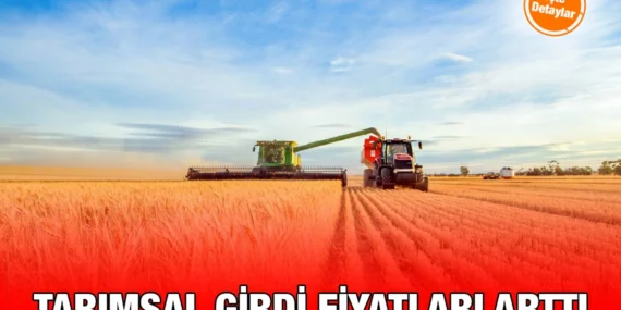 Tarımsal Girdi Fiyat Endeksi Temmuz’daki Son Durum