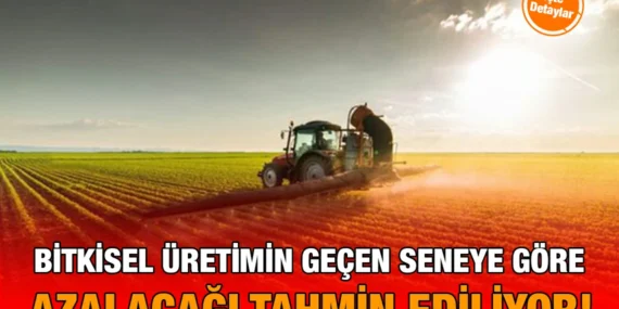 2025 Bitkisel Üretim 2.Tahmini