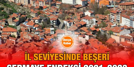 İl Seviyesinde Beşeri Sermaye Endeksi 2021-2023