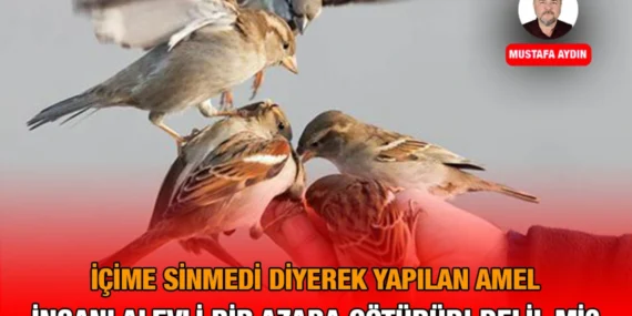 İman-Amel ve Ötesi